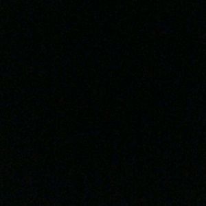 Meet your Posher, Randee